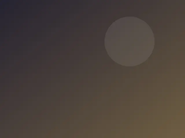 dummy dusk harbor